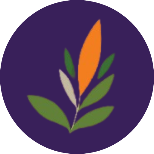 Favicon262